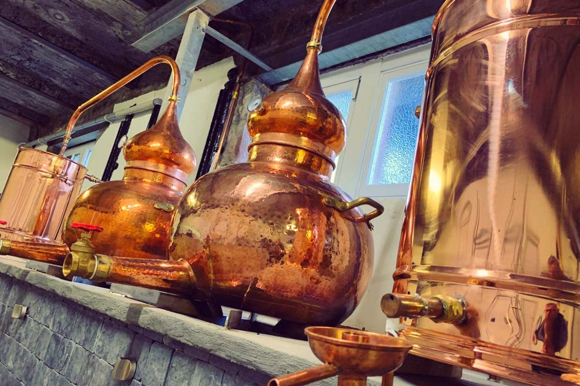 Discover the Best Gins you might want to try