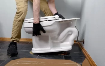 guide to replacing a toilet seat